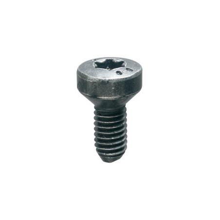 VIS À MÉTAUX TÊTE FRAISÉE ZN NOIR M6-1.00 X 18 mm