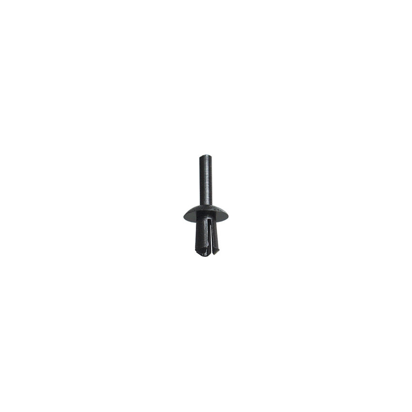 RIVET