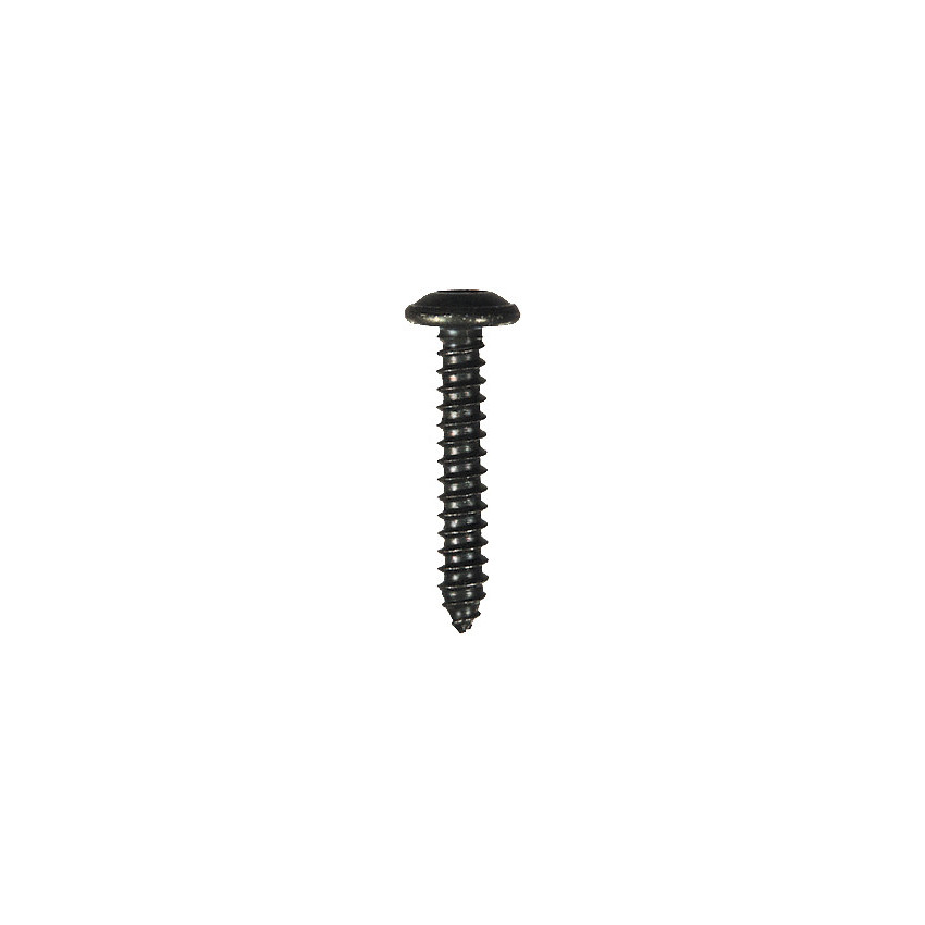 BLACK ZINC PLATED TRUSS HEAD SELF TAPPING SCREW Ø 4,2 X 25 mm NFE 25-655