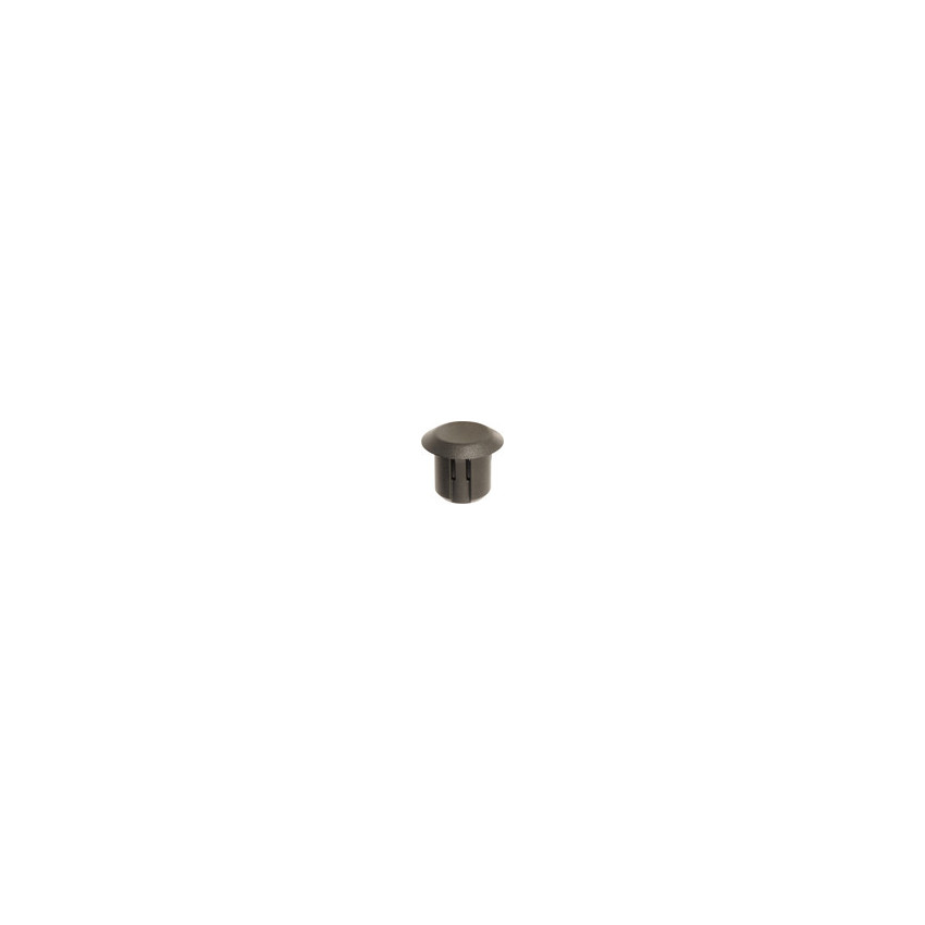 PION