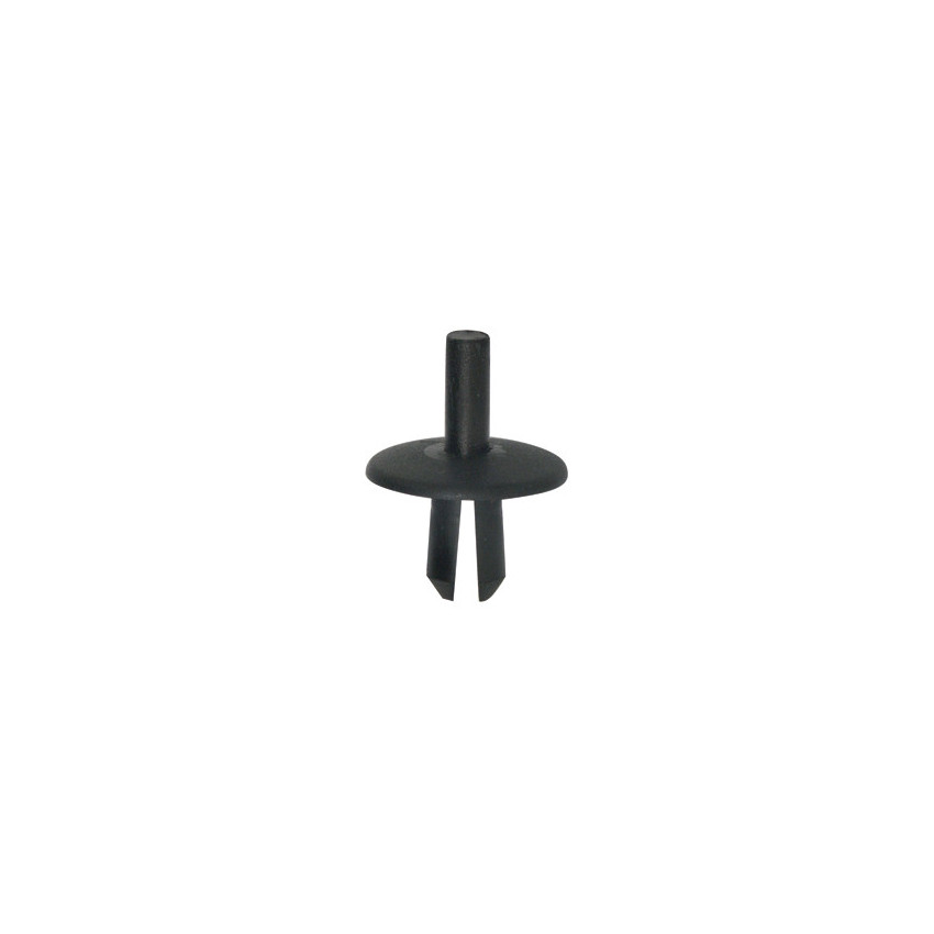 RIVET