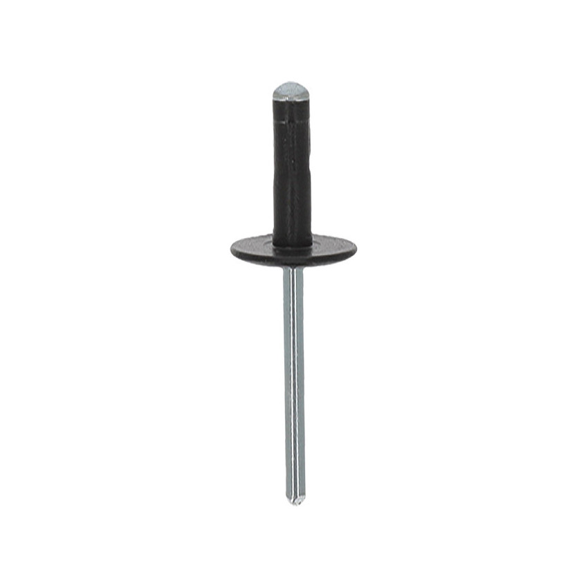 RIVET