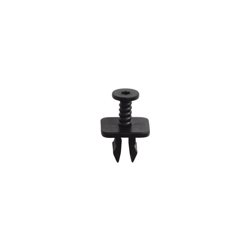 RIVET