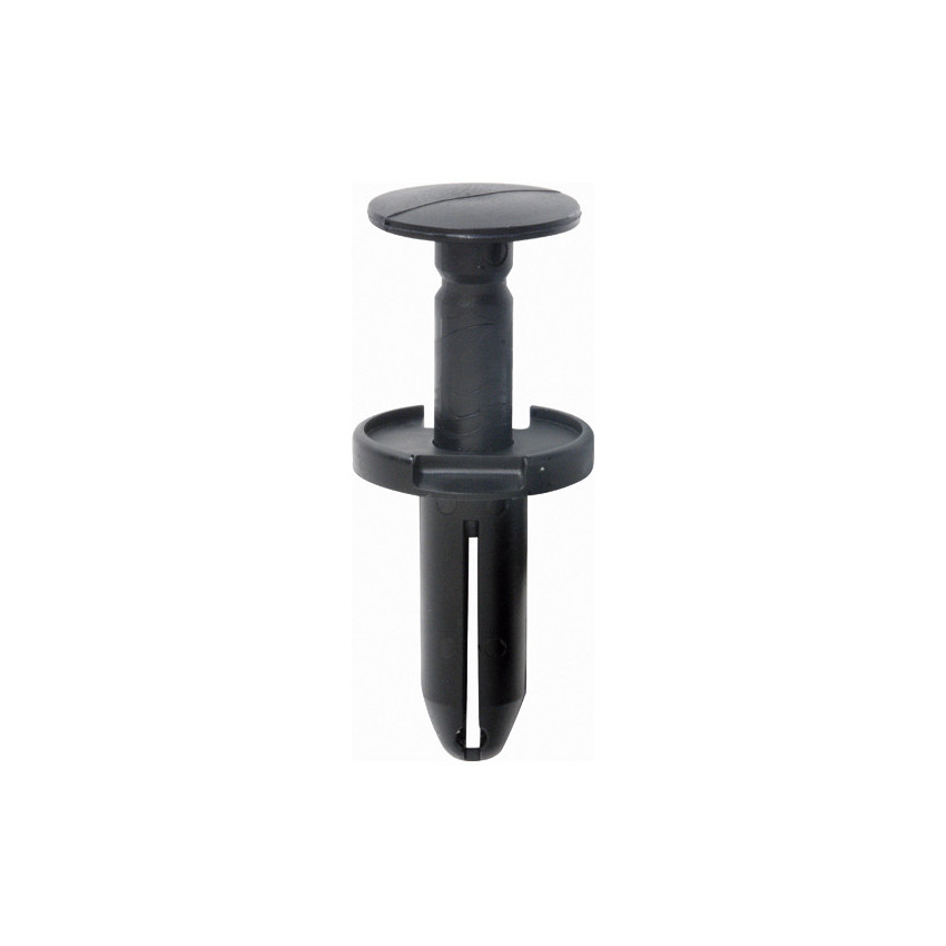RIVET