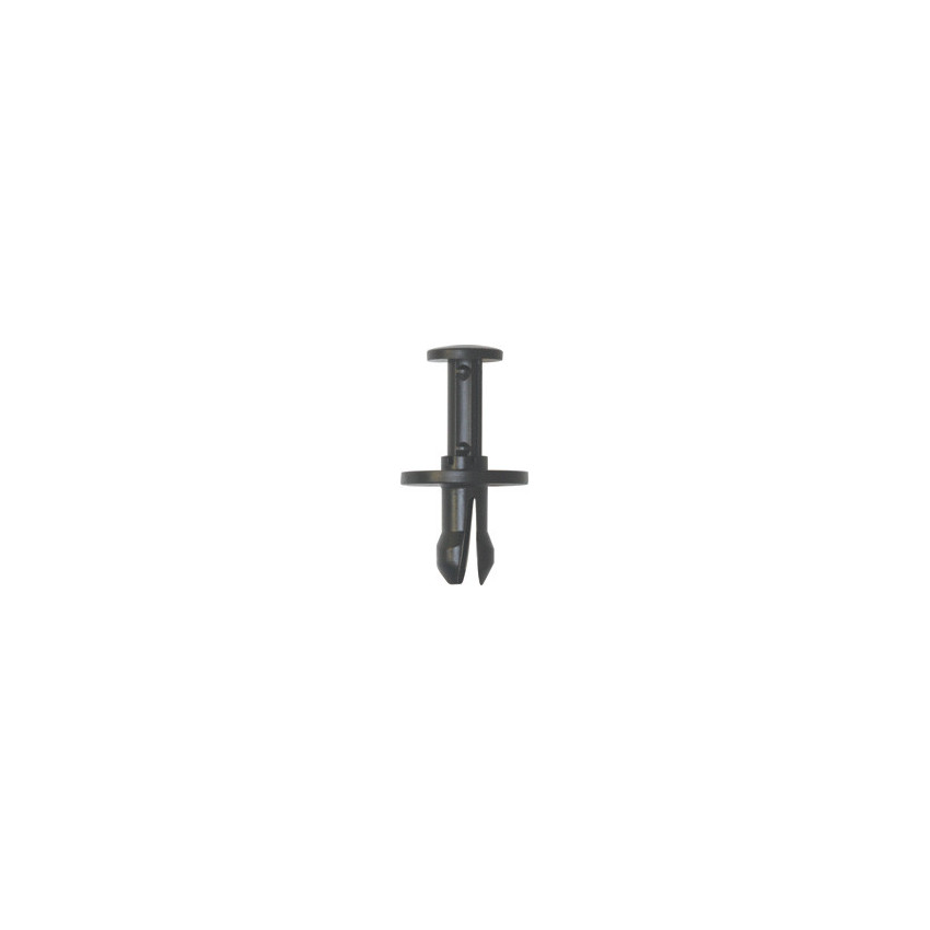RIVET