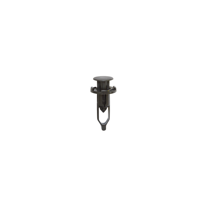 RIVET