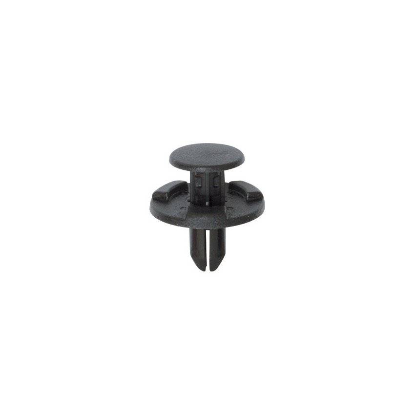 RIVET