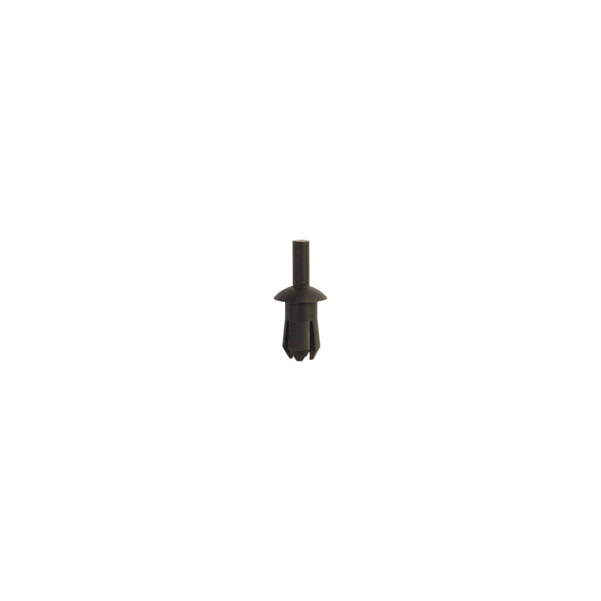 RIVET
