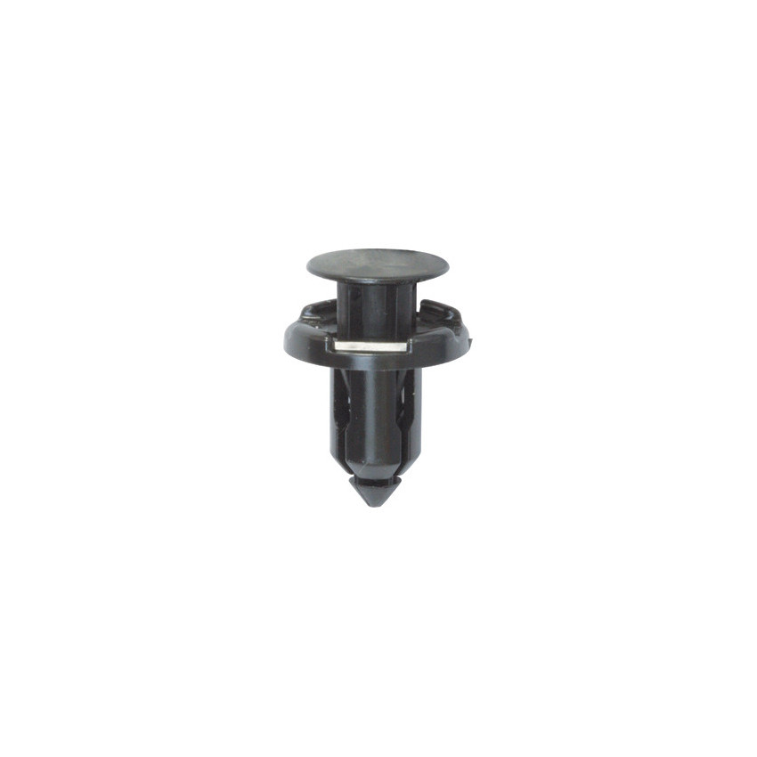 RIVET