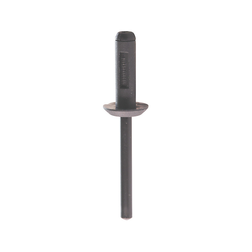 RIVET