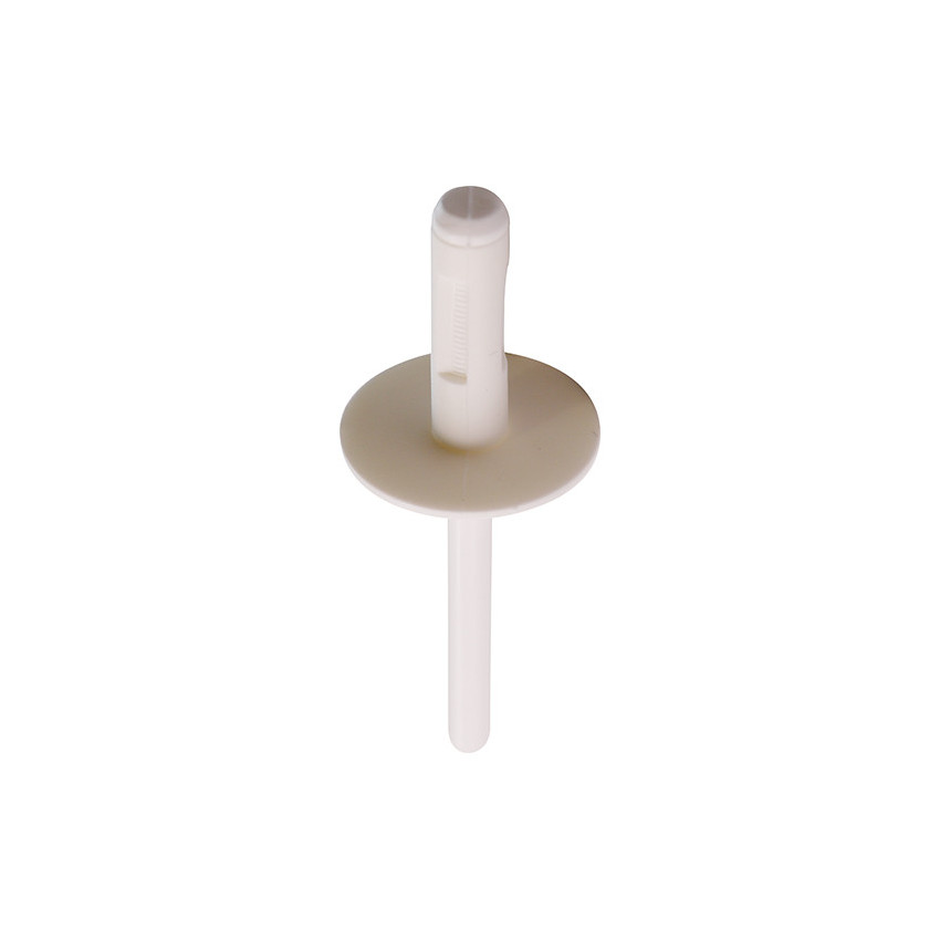 RIVET