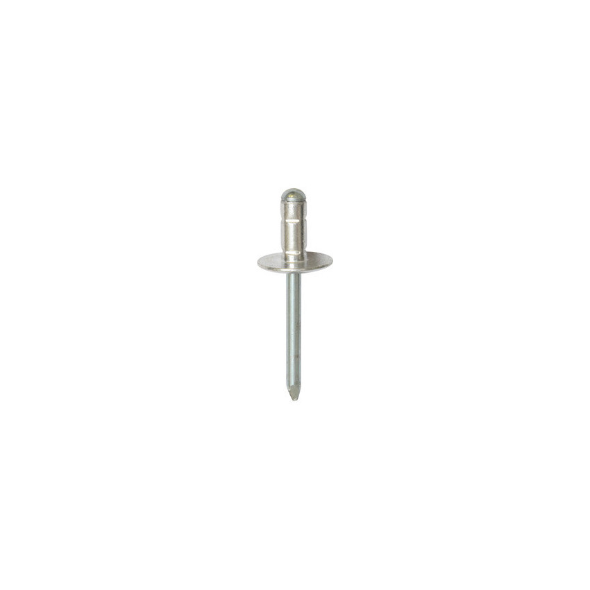RIVET