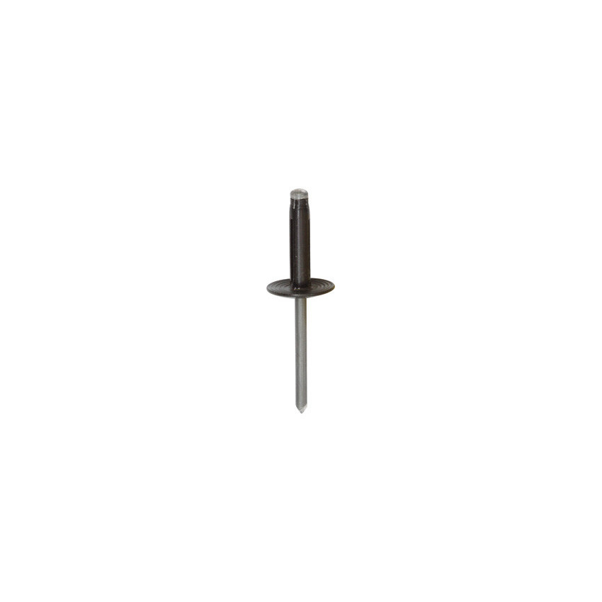 RIVET