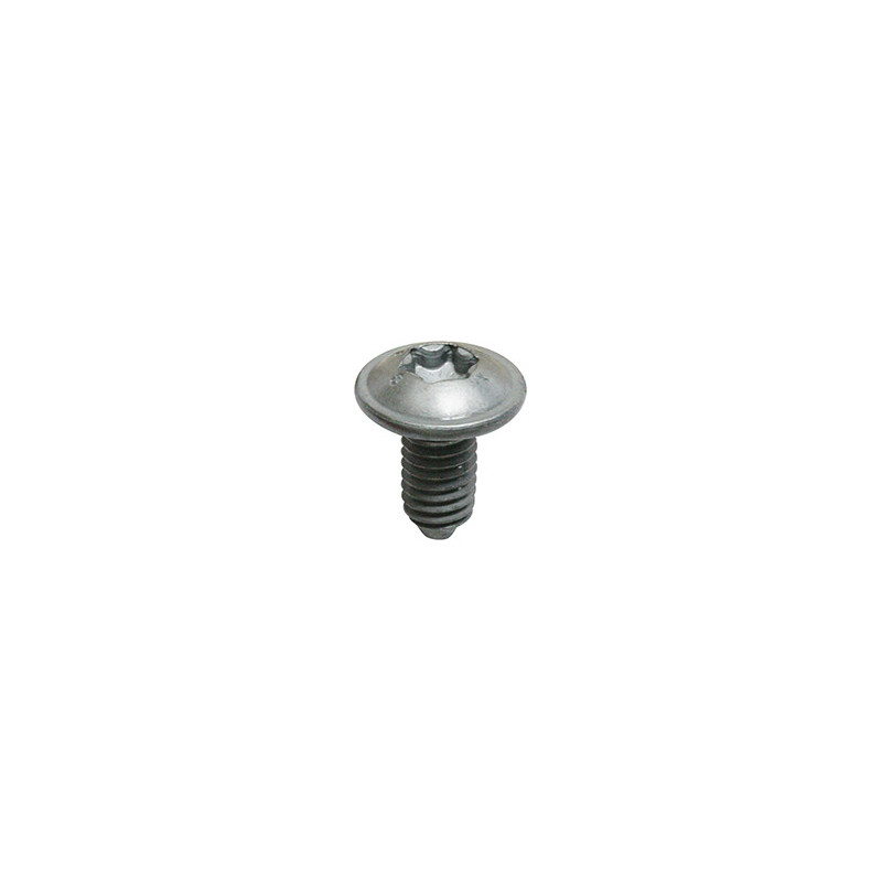 VIS À MÉTAUX TÊTE RONDE LARGE EMPREINTE X30 M6 X 12 mm