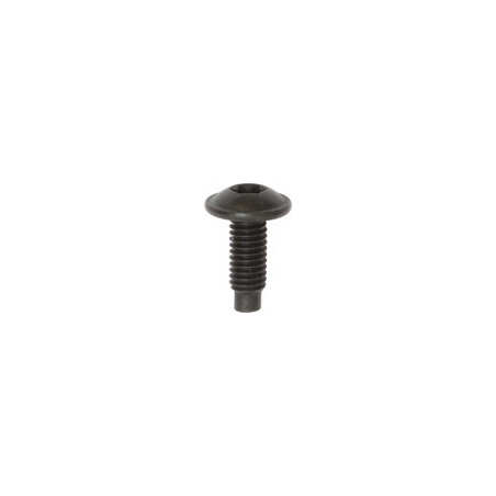 VIS À MÉTAUX TÊTE RONDE LARGE EMPREINTE X30 M6 X 16 mm