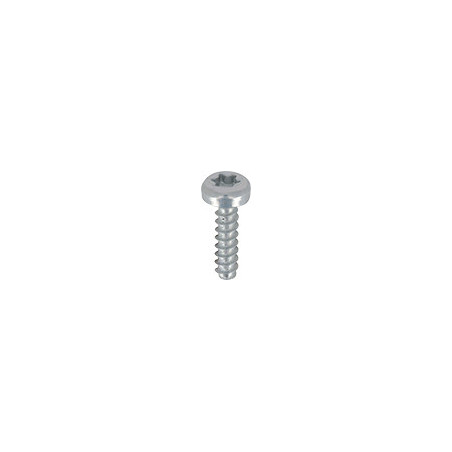 VIS MATÉRIAUX TENDRES 30° TÊTE CYLINDRIQUE BOMBÉE LARGE EMPREINTE X8 Ø 2 X 8 mm