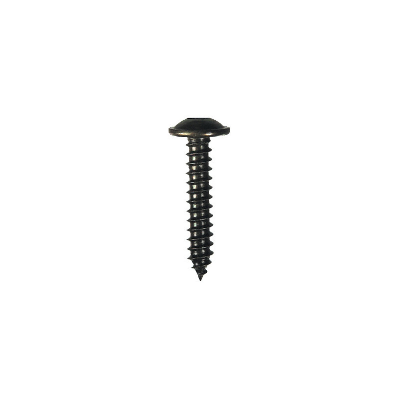 BLACK ZINC PLATED TRUSS HEAD SELF TAPPING SCREW Ø 4,8 X 25 mm NFE 25-655