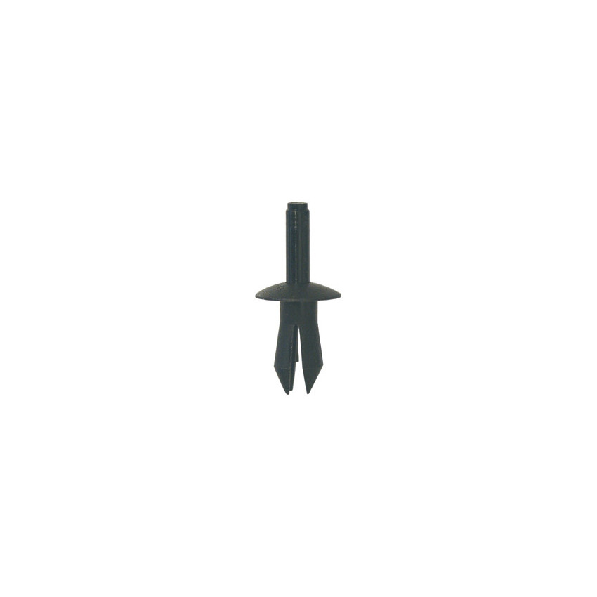 RIVET