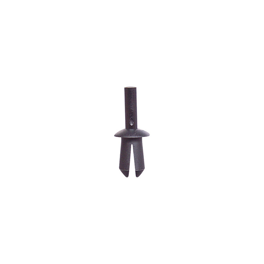 RIVET