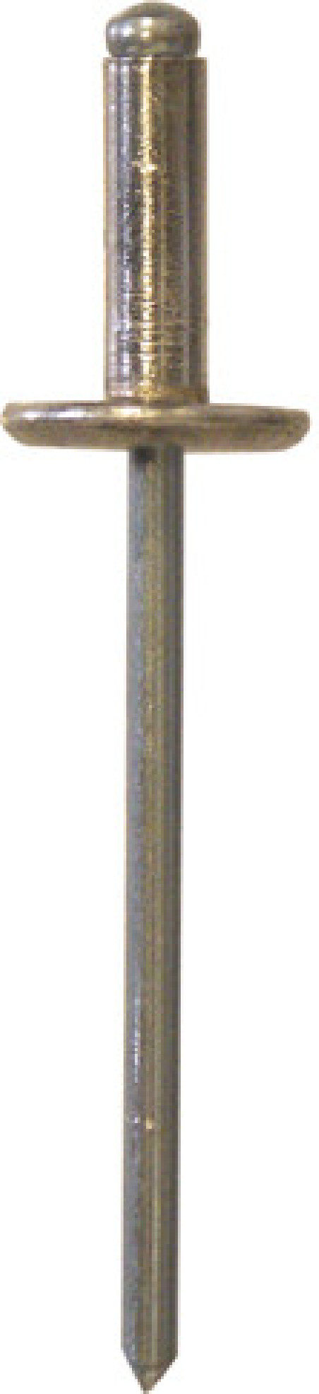RIVET ALU TÊTE LARGE Ø 3,2 X 10 mm