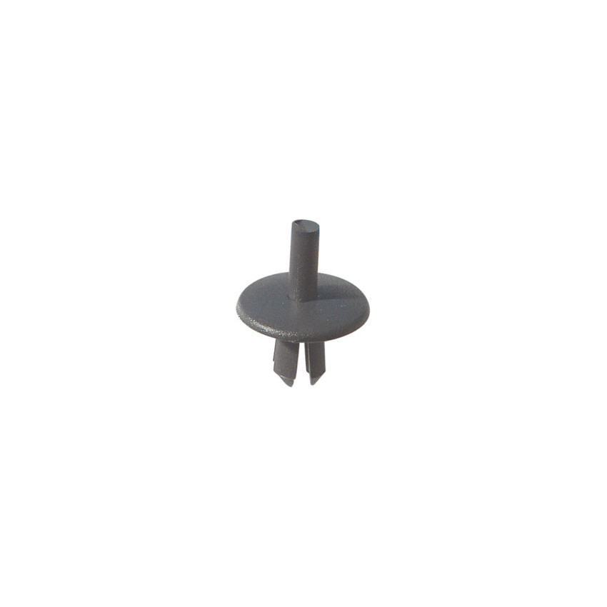 RIVET