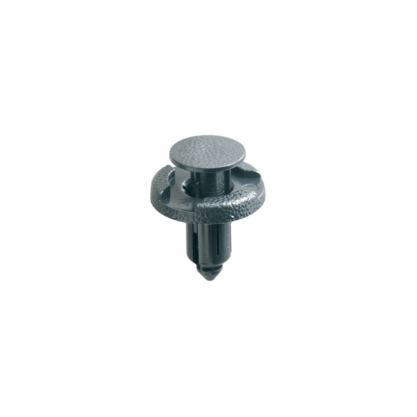 RIVET