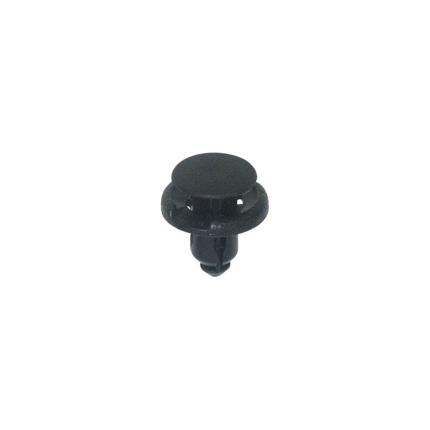 RIVET