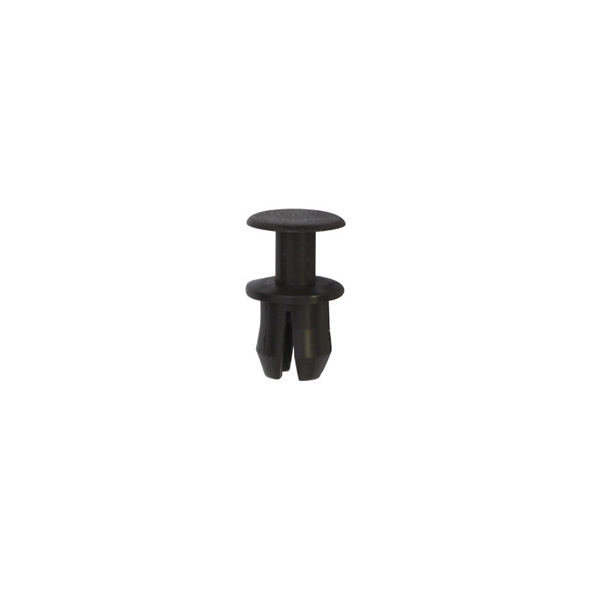 RIVET