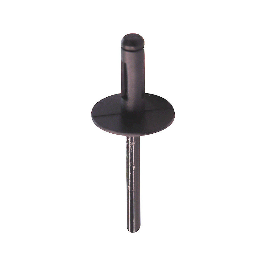 RIVET