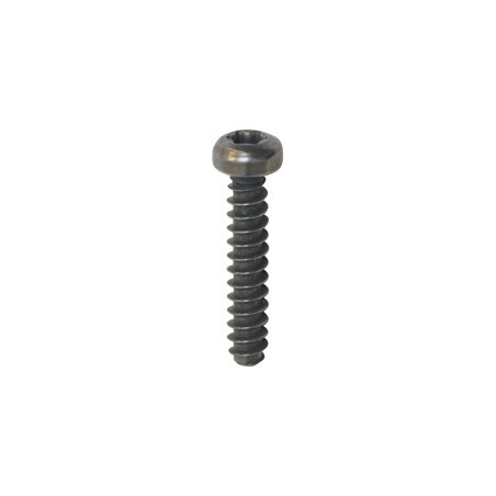 VIS MATÉRIAUX TENDRES 30° TÊTE CYLINDRIQUE BOMBÉE LARGE EMPREINTE X10 Ø 3 X 16 mm