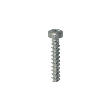 VIS MATÉRIAUX TENDRES REMFORM TÊTE CYLINDRIQUE BOMBÉE LARGE EMPREINTE X10 Ø 3 X 16 mm