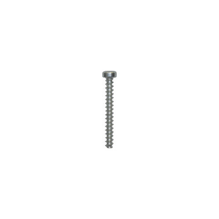 PAN HEAD SOFT MATERIALS SCREW REMFORM RECESS X10 Ø 3 X 25 mm