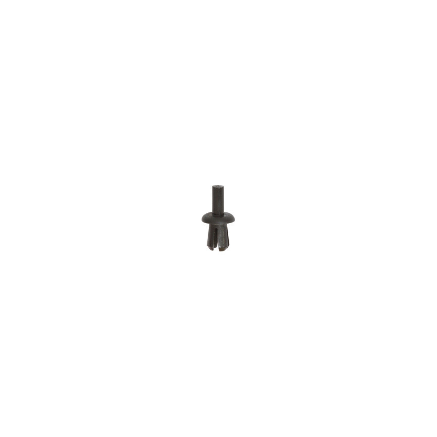 RIVET