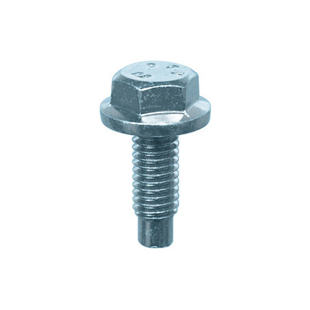 HEXAGON FLANGE SCREW M6-1.00 X 16 mm