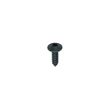 BLACK ZINC PLATED TRUSS HEAD SELF TAPPING SCREW Ø 4,8 X 16 mm NFE 25-655