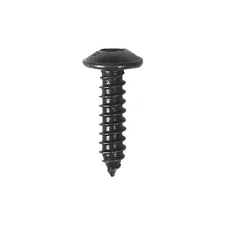 BLACK ZINC PLATED TRUSS HEAD SELF TAPPING SCREW Ø 4,8 x 19 mm NFE 25-655