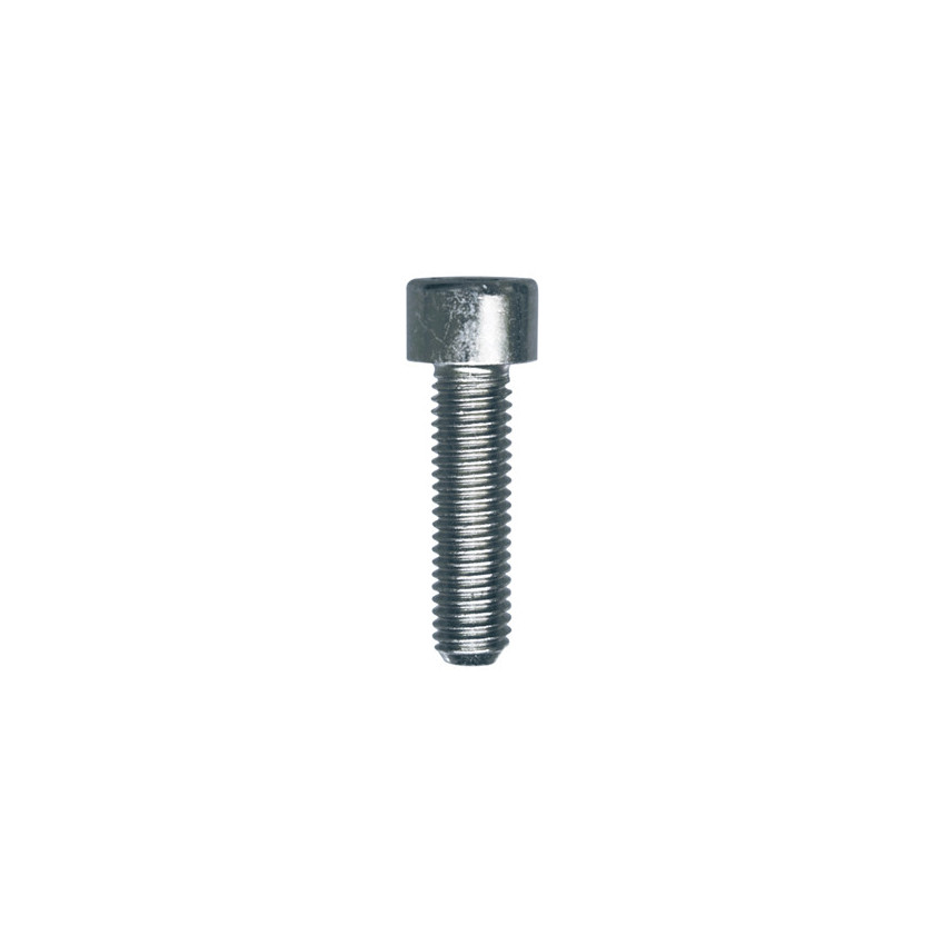 VIS À MÉTAUX TÊTE CHC CL8.8 ZN BLANC M8-1.25 X 30 mm DIN 912