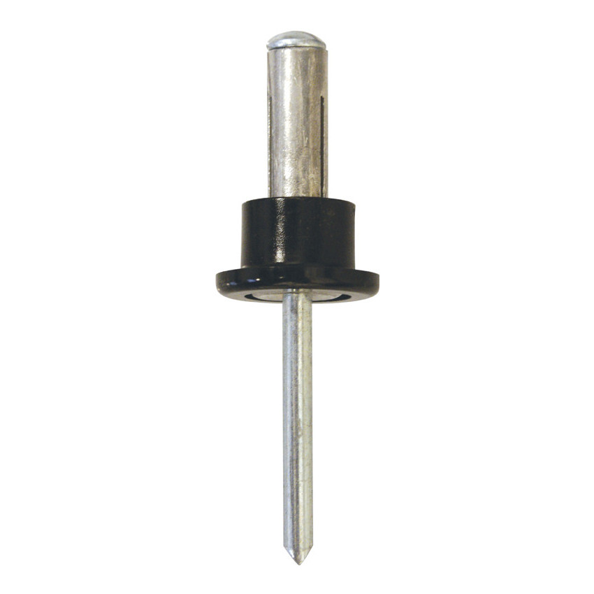 RIVET