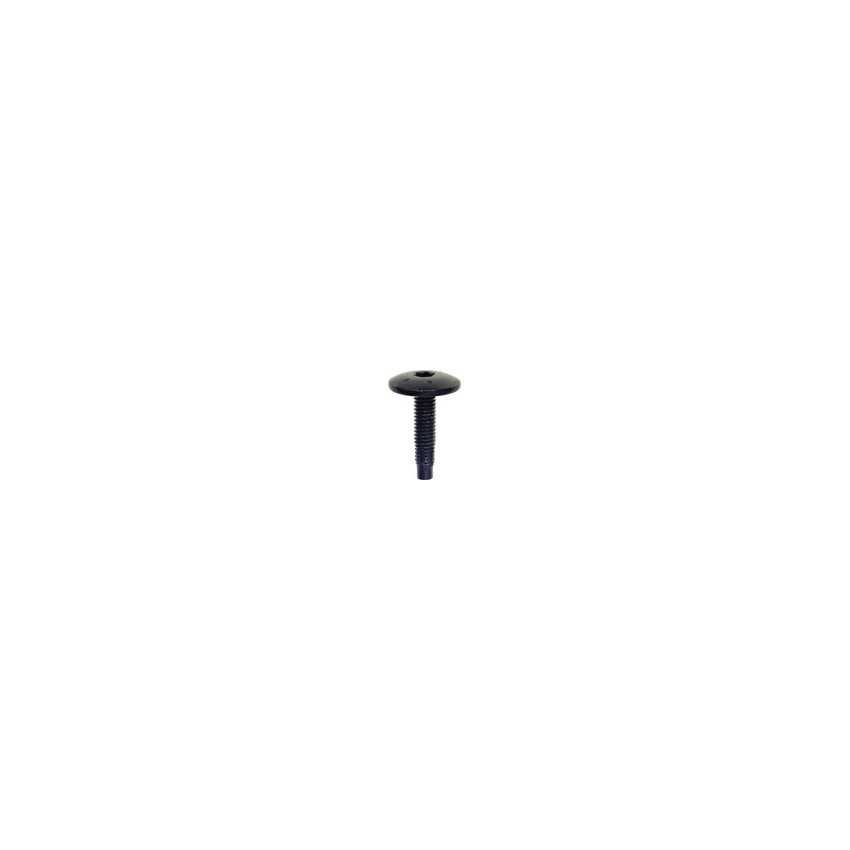 EXTRA LARGE DOME HEAD BLACK SCREW M6-1.00 X 25 mm