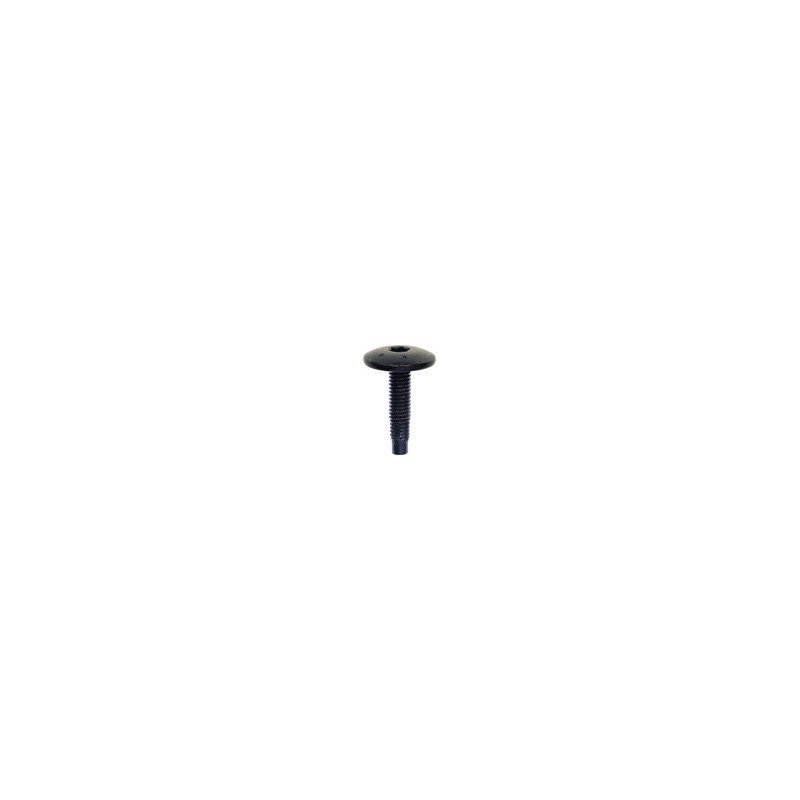 VIS CBLX TÊTE LARGE ZN NOIR M6-1.00 X 25 mm