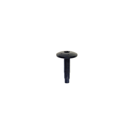 VIS CBLX TÊTE LARGE ZN NOIR M6-1.00 X 25 mm