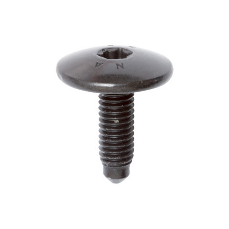 VIS CBLX TÊTE LARGE ZN NOIR M6-1.00 X 20 mm