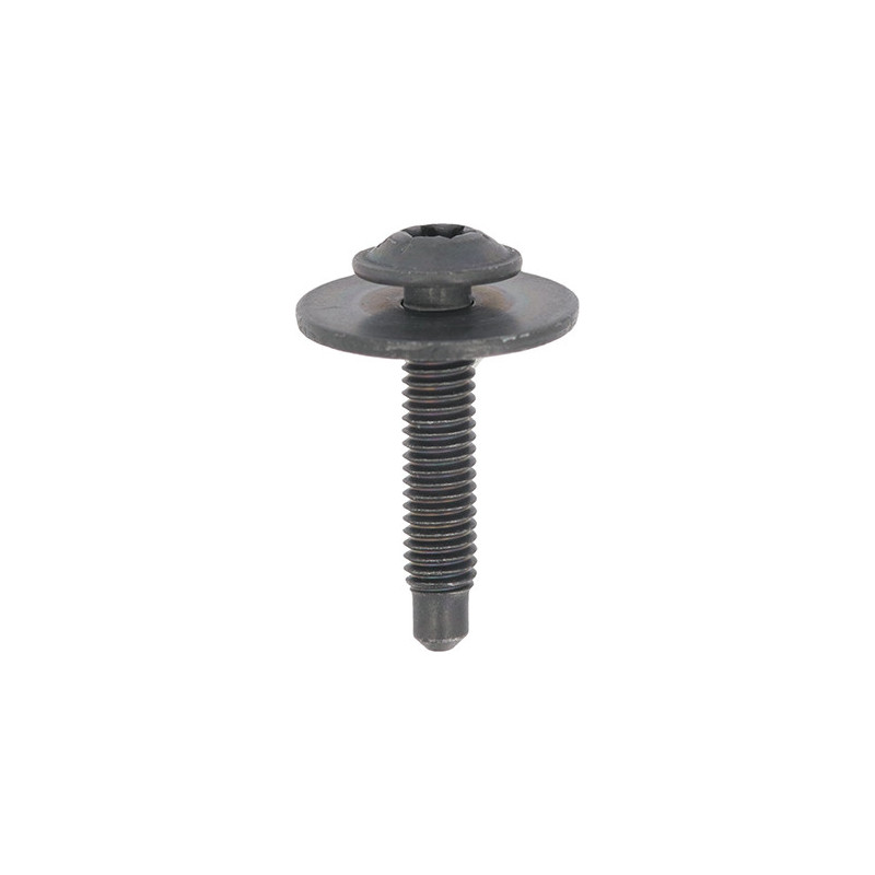 BLACK ZINC PLATED TRUSS HEAD SCREW WITH WASHER M6-1.00 X 30 mm