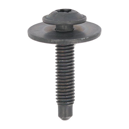 BLACK ZINC PLATED TRUSS HEAD SCREW WITH WASHER M6-1.00 X 30 mm