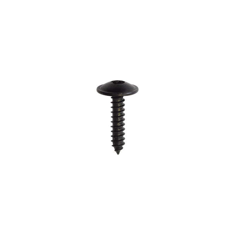 BLACK ZINC PLATED TRUSS HEAD SELF TAPPING SCREW Ø 4,2 X 19 mm