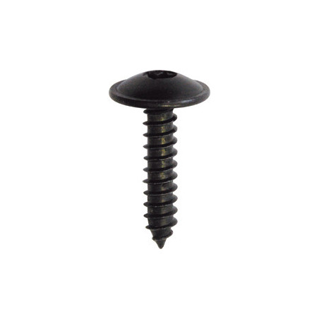 BLACK ZINC PLATED TRUSS HEAD SELF TAPPING SCREW Ø 4,2 X 19 mm