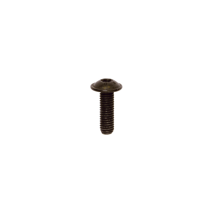 BLACK ZINC PLATED TRUSS HEAD SCREW M5-0.80 X 16 mm