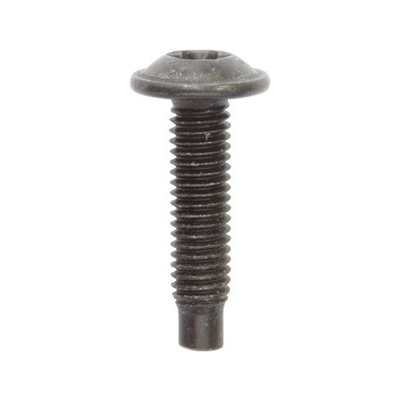 BLACK ZINC PLATED TRUSS HEAD SCREW M6-1.00 X 25 mm