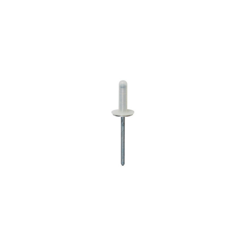 RIVET