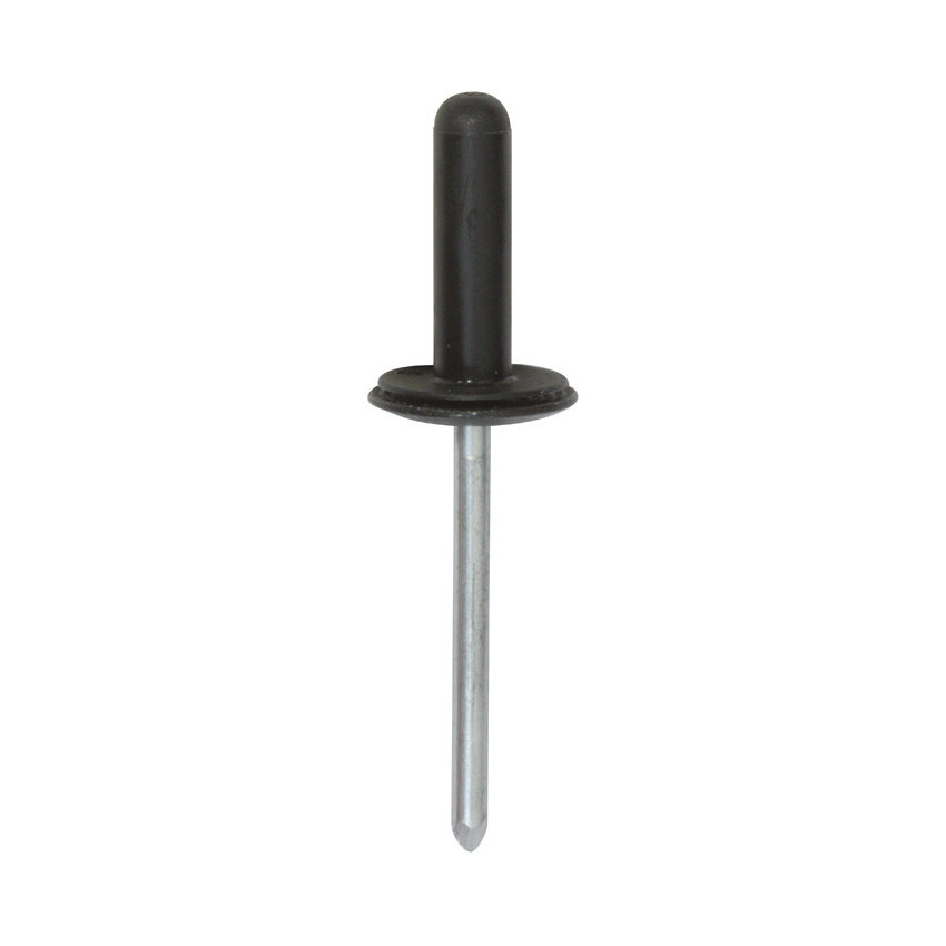 RIVET